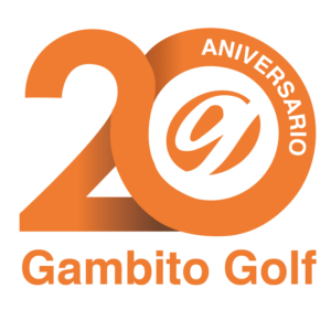 Logo 20 Aniversario